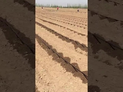 نوار آبیاری قطره ای